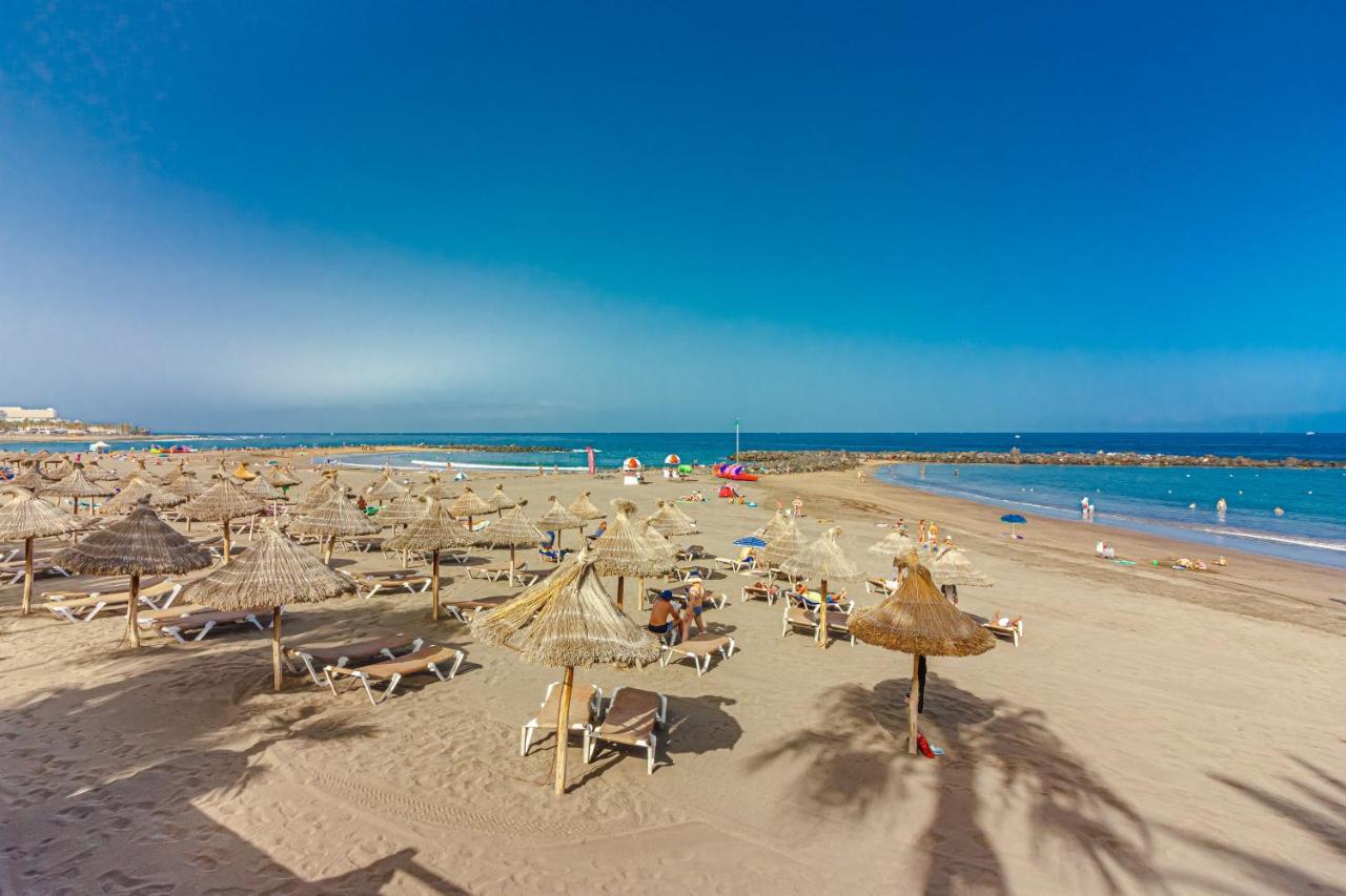 Fantastic Large Studio In Front Of Beach Heated Pool Wifi أرونا المظهر الخارجي الصورة
